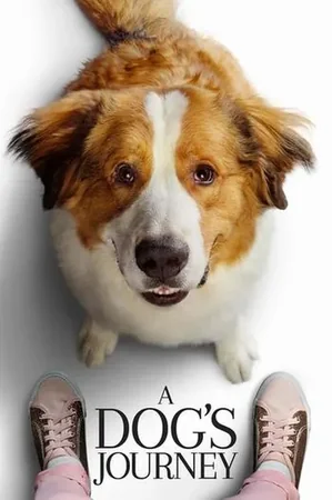 Dostumun Yolculuğu 2019 Full HD Türkçe Dublaj Film İzle