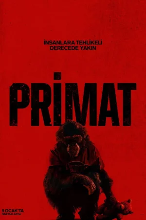Primat 2026 Full HD Türkçe Dublaj Film İzle